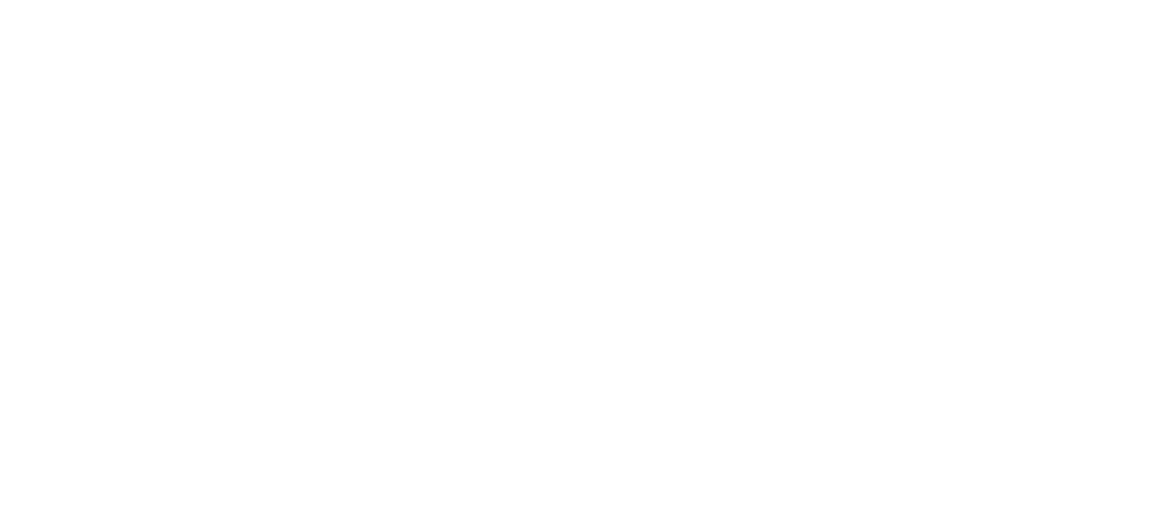 netic logo