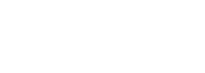 vikingdanmark logo